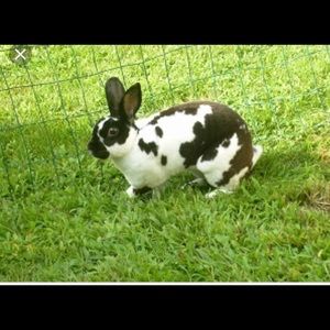 Meet your Posher, Brett